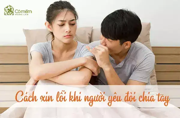 những câu nói xin lỗi người yêu khi chia tay