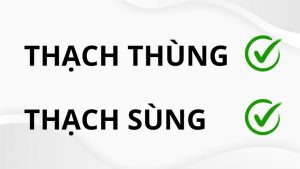 Thạch thùng hay thạch sùng