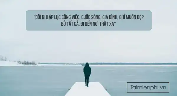 câu nói hay về cuộc sống bon chen
