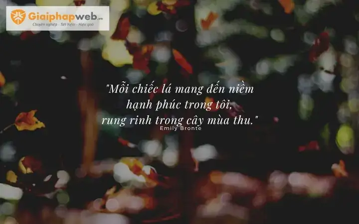 câu nói hay về mùa thu đông