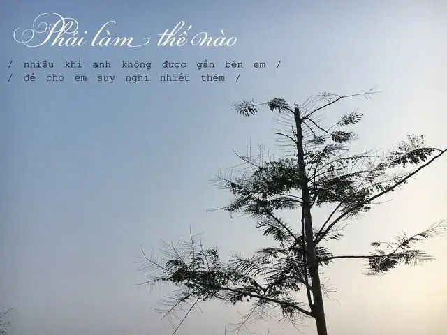 là vài câu nói chưa kịp nghĩ tới