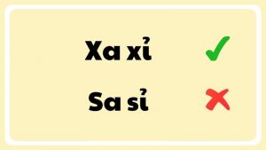 Xa xỉ hay sa sỉ