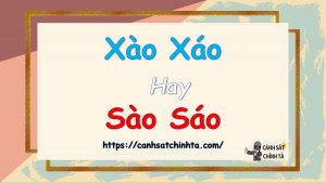 xào xáo hay sào sáo