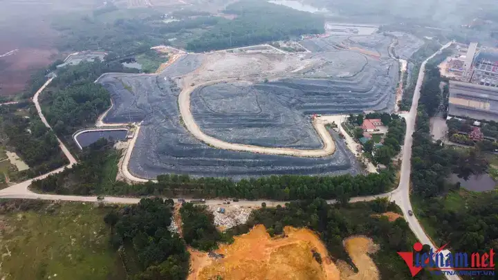 câu nói hay về cá cảnh