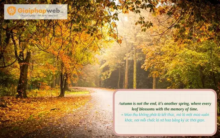 những câu nói hay về mùa thu bằng tiếng anh
