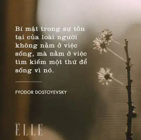 câu nói hay về bí mật