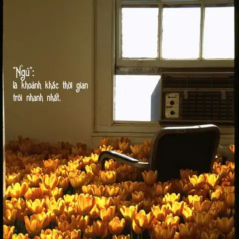 câu nói hài hước về thời gian