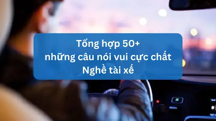 câu nói tục hài hước