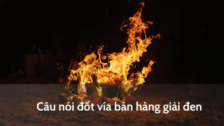 câu nói đốt vía