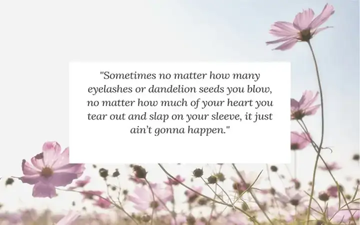 những câu nói về hoa phượng