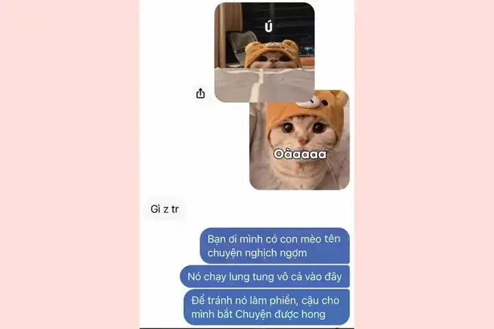 những câu nói chuyện với crush