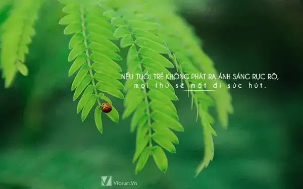 câu nói hay về tuổi trẻ đi du lịch