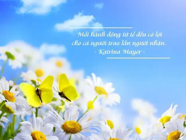 câu nói hay về sự đồng hành câu nói hay về sự đồng hành