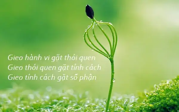 câu nói gieo thói quen gặt tính cách