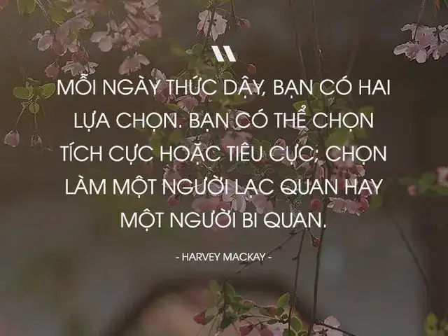 câu nói hay về sự lựa chọn trong tình yêu