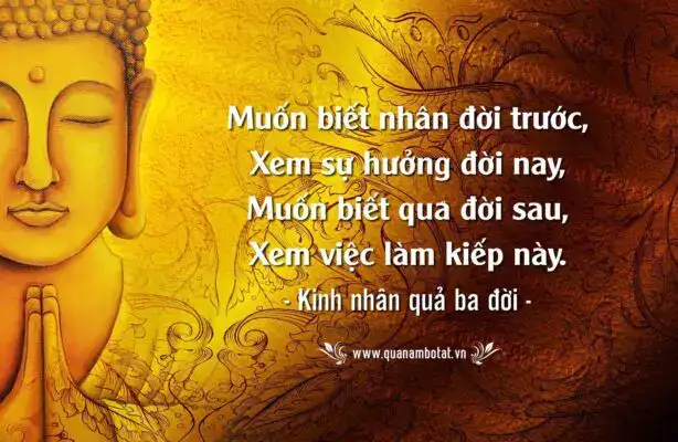 những câu nói về luật đời