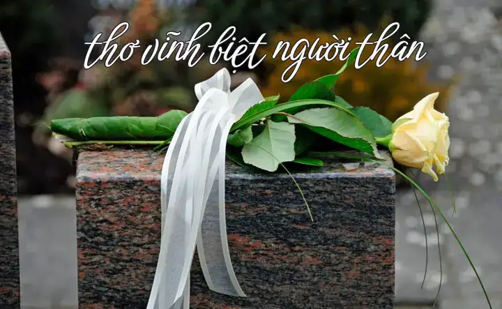 những câu nói vĩnh biệt hay nhất