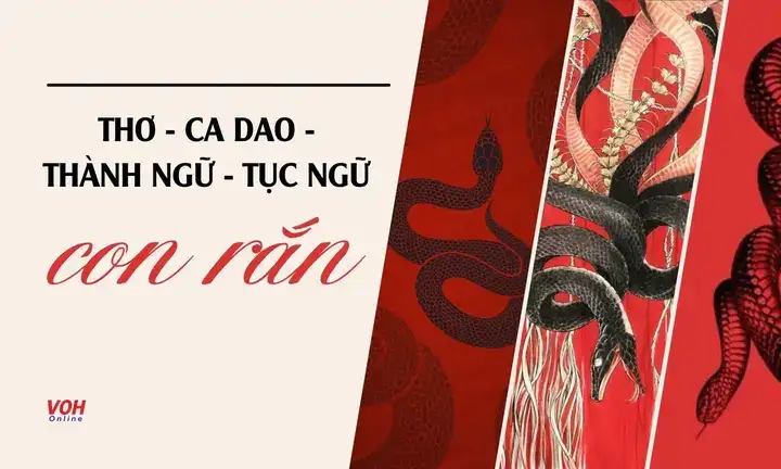 câu nói hay về rắn