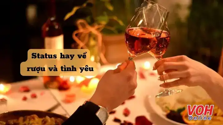 câu nói hay về rượu và tình yêu