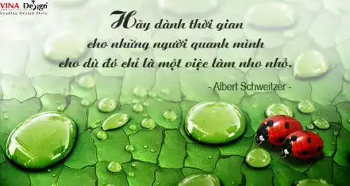 câu nói hay về rùa