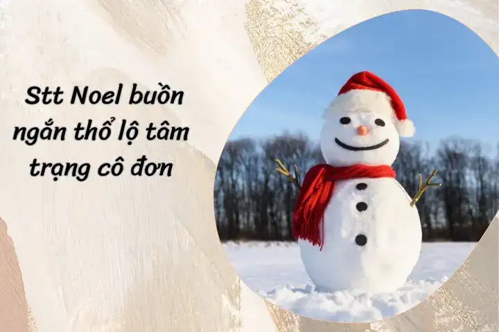 câu nói hay về noel buồn