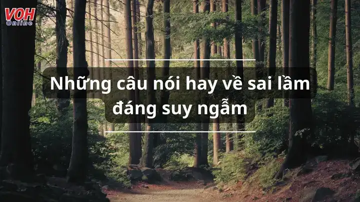 những câu nói hay về sai lầm của tuổi trẻ