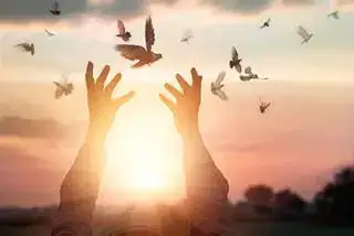 những câu nói hay về lòng khoan dung