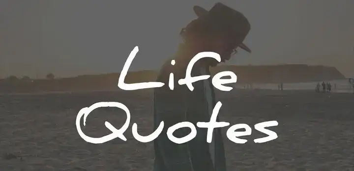 những câu nói hay ngắn gọn vui