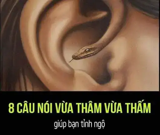 những câu nói giúp bạn tỉnh ngộ
