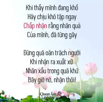 câu nói hay về luật nhân quả trong tình yêu