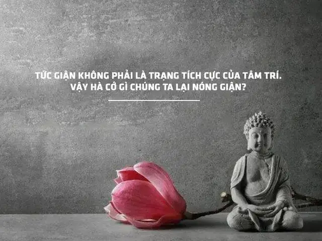 câu nói hay về kiềm chế cảm xúc