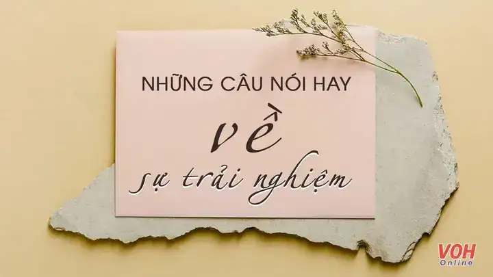 câu nói về trải nghiệm