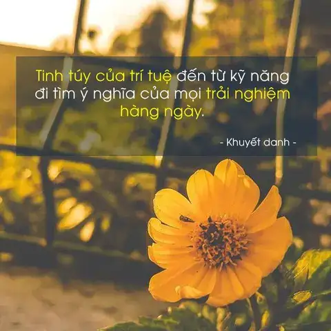 câu nói về trải nghiệm