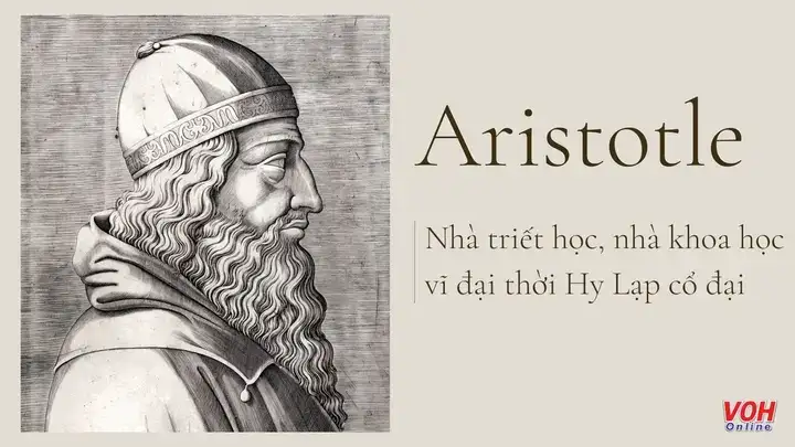 câu nói triết học