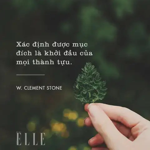 câu nói hay về mục đích sống