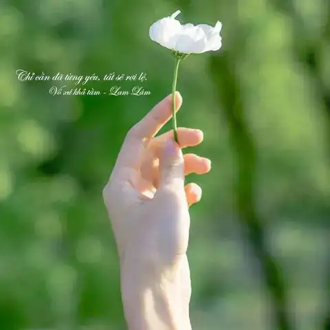 câu nói hay về khóc