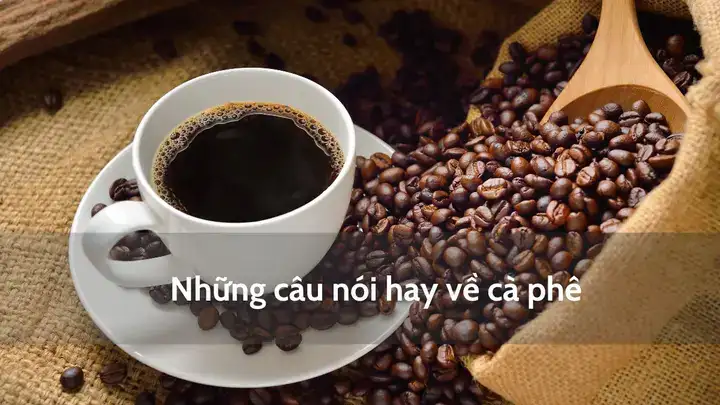câu nói hay về capuchino