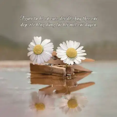 câu nói hay về duyên phận bằng tiếng anh