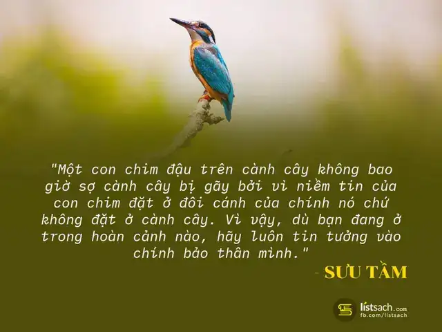 câu nói hay về du học