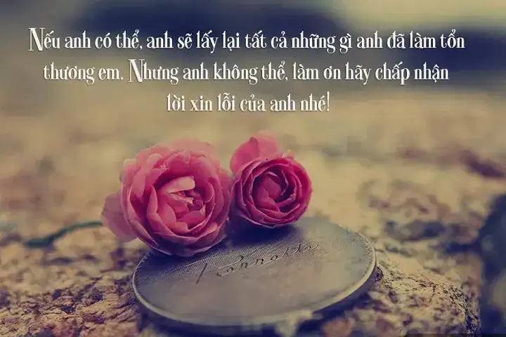 những câu nói xin lỗi người yêu cũ những câu nói xin lỗi người yêu cũ