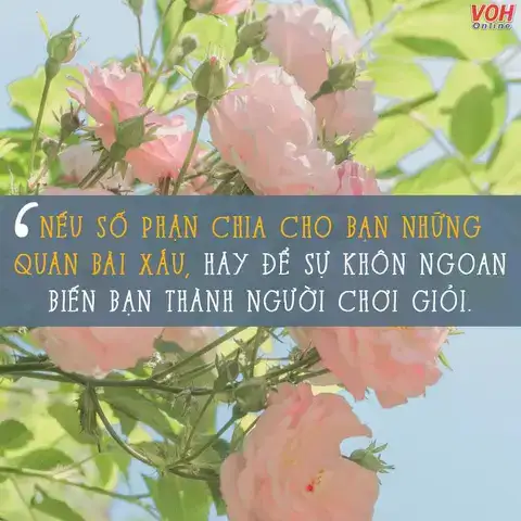 câu nói hay về con đường phía trước