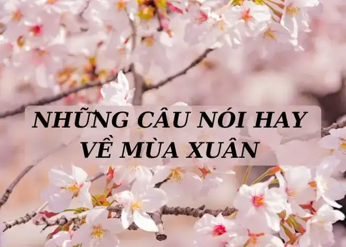 câu nói hay mùa xuân
