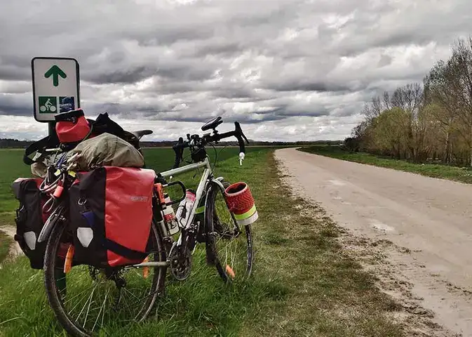 những câu nói hay về xe