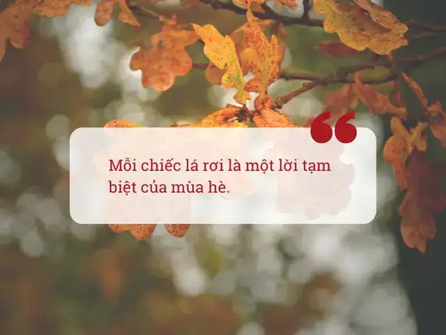 câu nói hay về chiếc lá