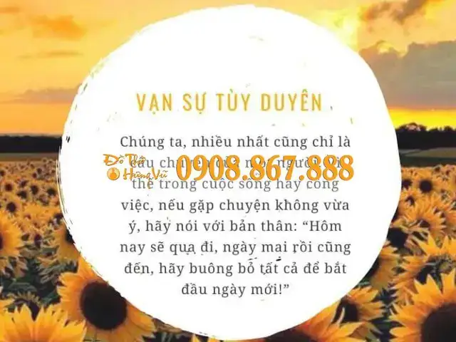 những câu nói hay về vạn sự tùy duyên