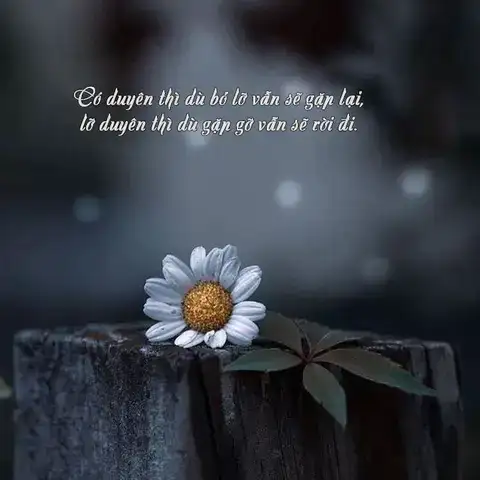 những câu nói về chữ duyên