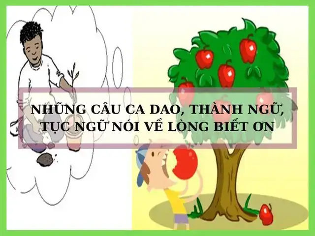 những câu nói hay về uống nước nhớ nguồn