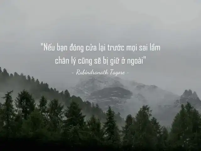 những câu nói hay về sai lầm