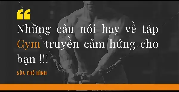những câu nói hay về tập thể