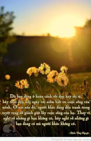 câu nói hay trân trọng những gì mình đang có